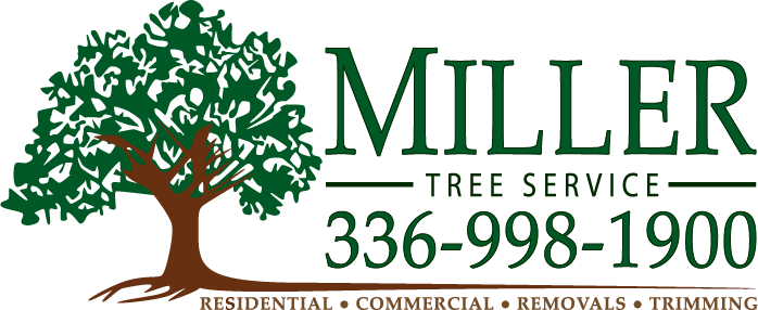 Miller Tree Service