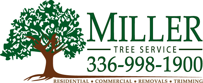 Miller Tree Service
