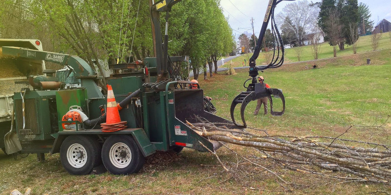 Certified Arborist in Advance, North Carolina
