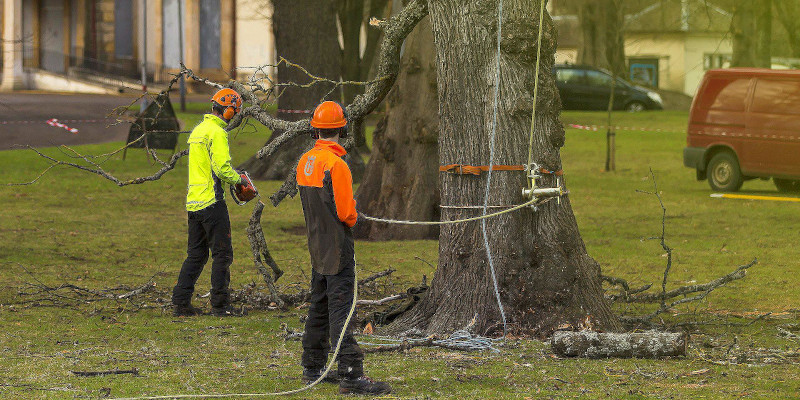 Storm Damage Cleanup in Clemmons, North Carolina
