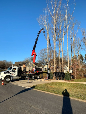 Commercial Tree Trimming in Clemmons, North Carolina