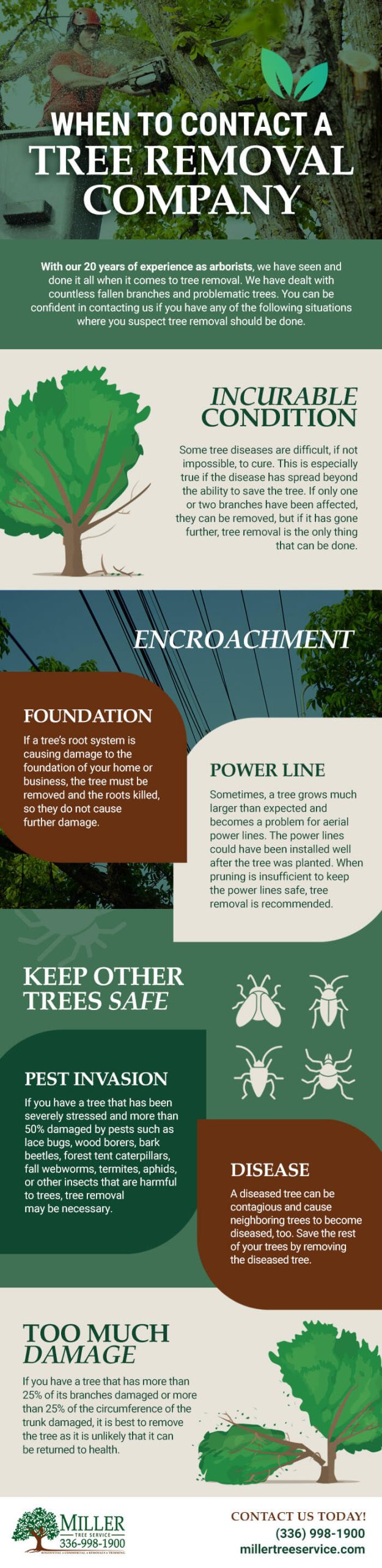 When to Contact a Tree Removal Company