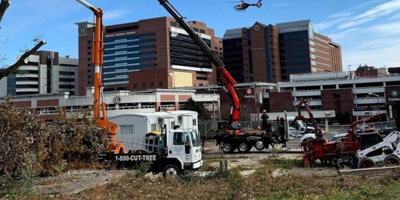 Commercial Tree Service in Advance, North Carolina