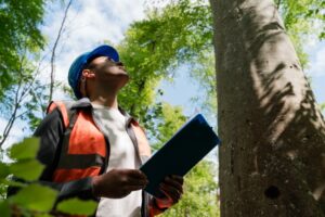 What Does an Arborist Do?